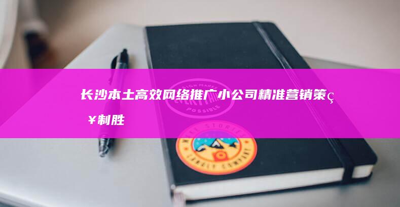 长沙本土高效网络推广小公司：精准营销 策略制胜